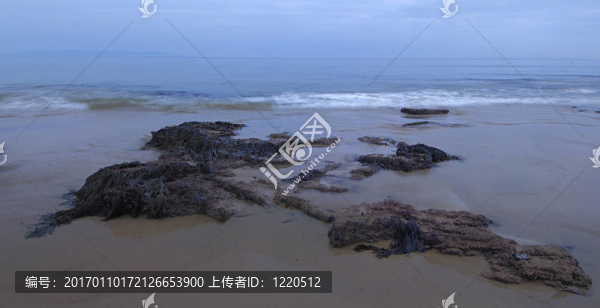 海灘