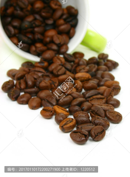 白色背景上的咖啡豆杯