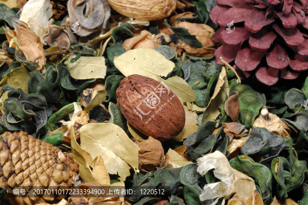 干葉百花香-匯圖網(wǎng) www.fosd68.com 干葉百花香