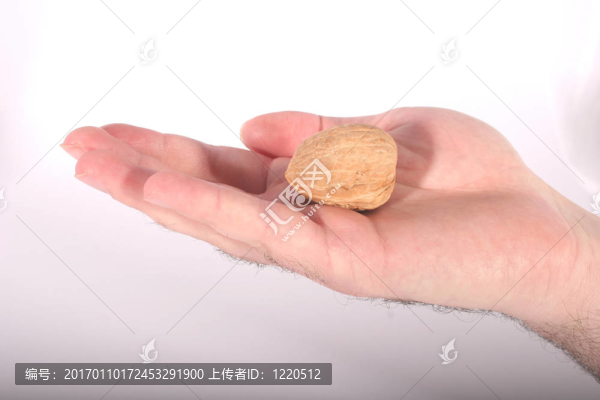核桃在手2