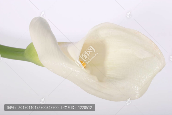 卡拉禮來2