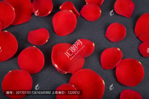 玫瑰花瓣