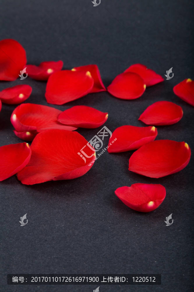 玫瑰花瓣