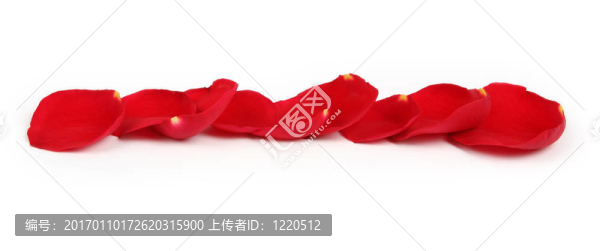玫瑰花瓣