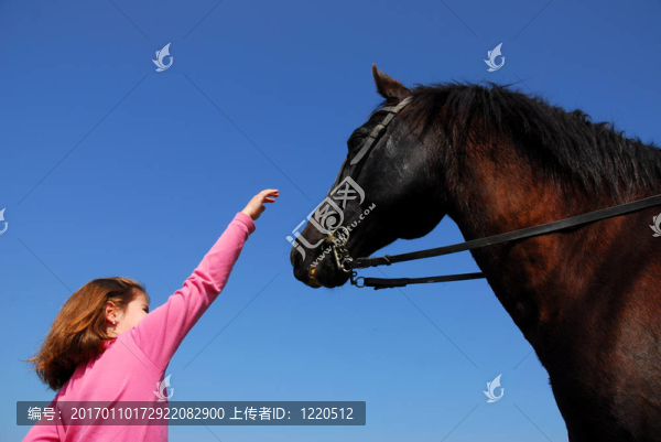 女孩和種馬