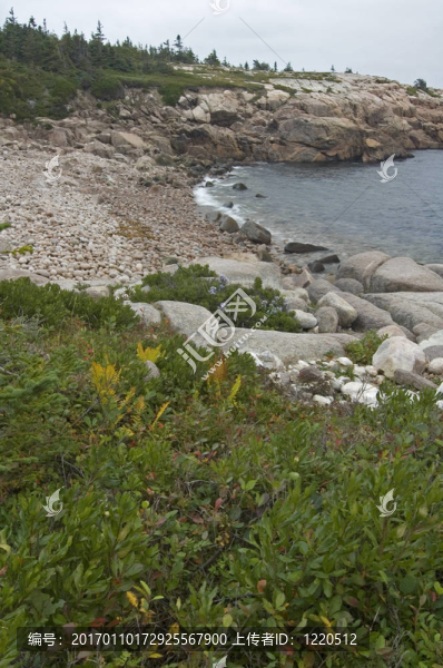 濱海步道；布雷頓角高地國家公園；新斯科舍；加拿大