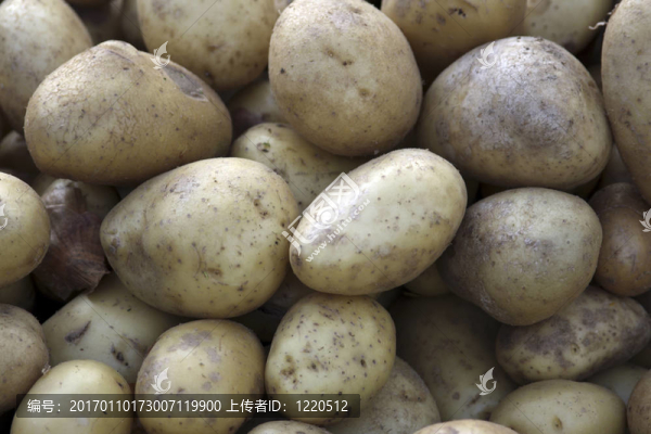 土豆在巴黎