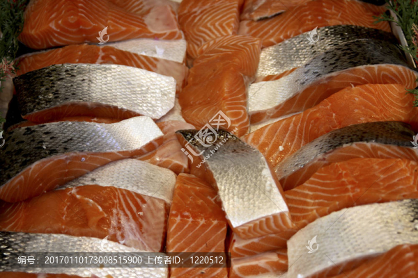 新鮮的三文魚(yú)