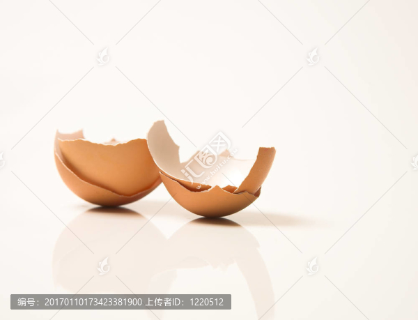 蛋殼