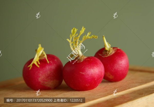 花園里的蘿卜