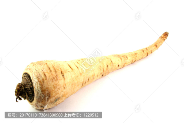 西芹