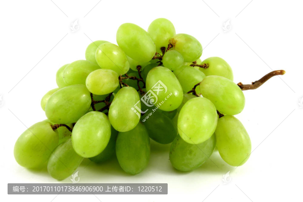 綠色的葡萄-匯圖網(wǎng) www.fosd68.com 綠色的葡萄