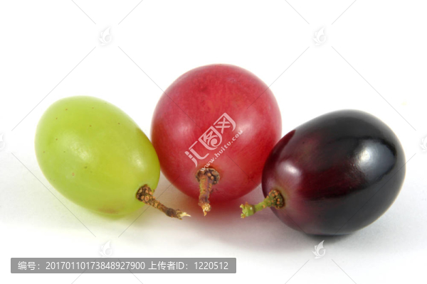 葡萄果實(shí)