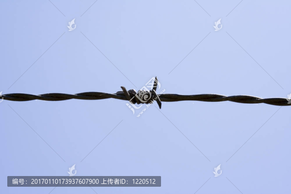 有線的天空