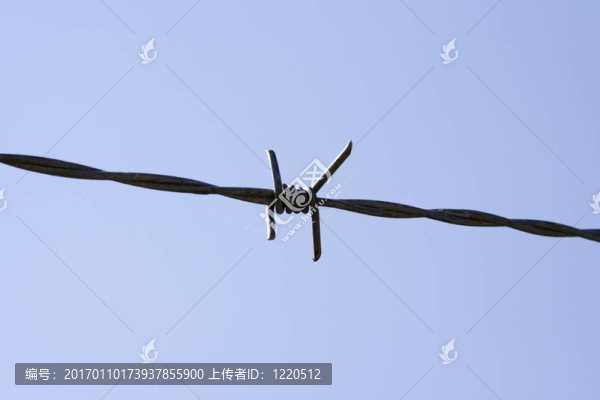 有線(xiàn)的天空