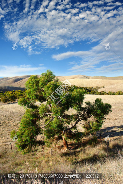 澳大利亞的風(fēng)景