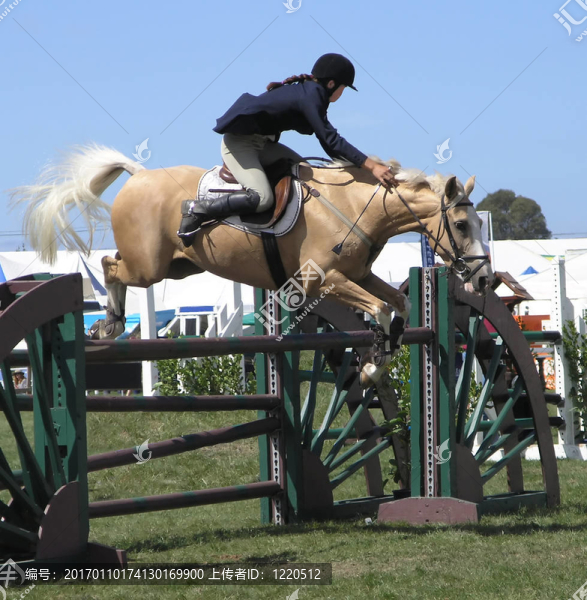 鳩形馬跳躍-匯圖網(wǎng) www.fosd68.com 鳩形馬跳躍