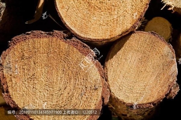 木材-匯圖網(wǎng) www.fosd68.com 木材