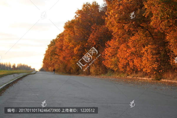 秋天的路上