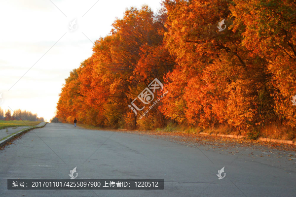 秋天的路上