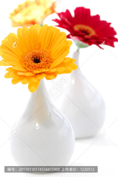 室內(nèi)設(shè)計(jì)的花瓶