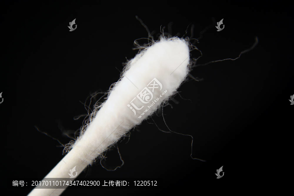 拭子