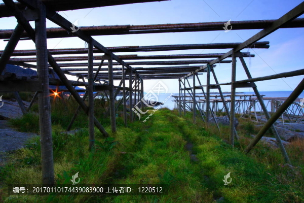 出海之路