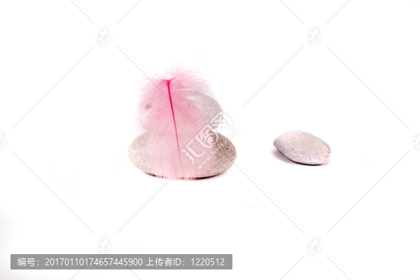 巖石和粉紅色的羽毛