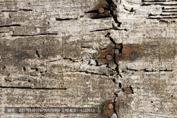 老木墻-匯圖網(wǎng) www.fosd68.com 老木墻