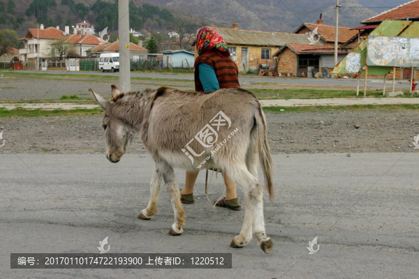 保加利亞村