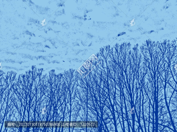 冬天的森林