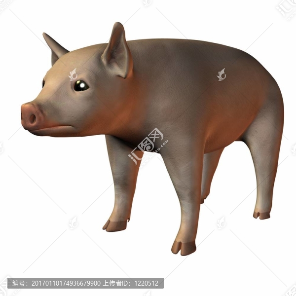 仔豬-匯圖網(wǎng) www.fosd68.com 仔豬