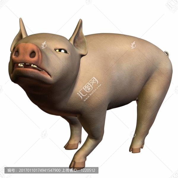 仔豬
