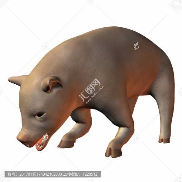 仔豬