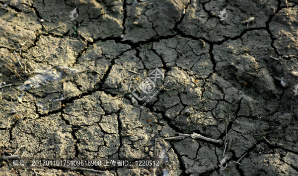 mudcracks粘土