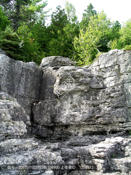 巖石的懸崖和樹(shù)木-匯圖網(wǎng) www.fosd68.com 巖石的懸崖和樹(shù)木