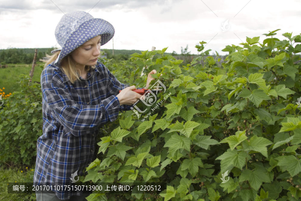 farmer_3