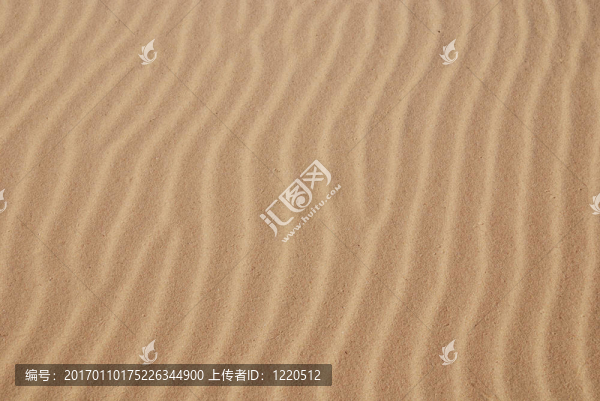 沙紋