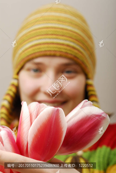 芽的郁金香