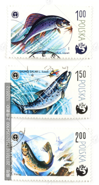 釣魚和魚的郵票