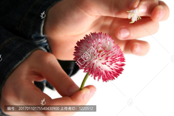他愛(ài)我，他不愛(ài)我