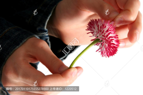 他愛我，他不愛我