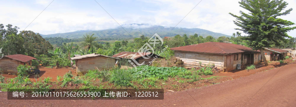 紅河谷鄉(xiāng)村公路；喀麥??；非洲；全景