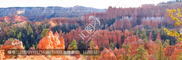 紅色和白色的峰林；布萊斯國家公園；美國；全景