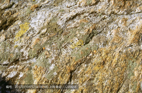 石巖背景-匯圖網(wǎng) www.fosd68.com 石巖背景