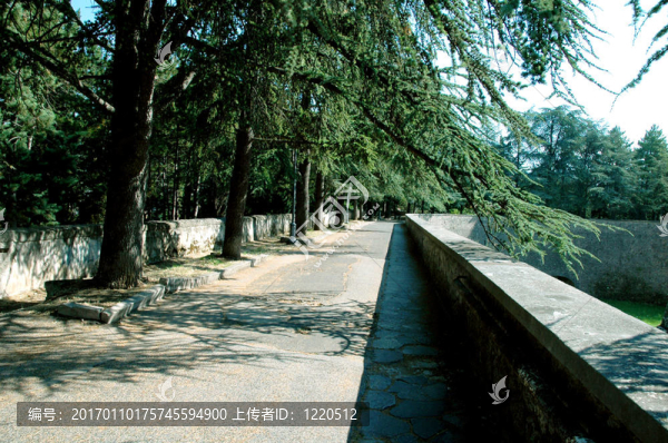 公園2