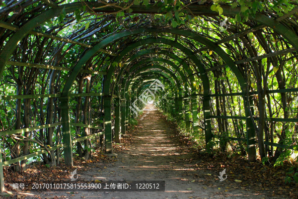 在陽光燦爛的日子/羊圇老花架？镥疸鈹？？耦腠鬻睇？溴脧