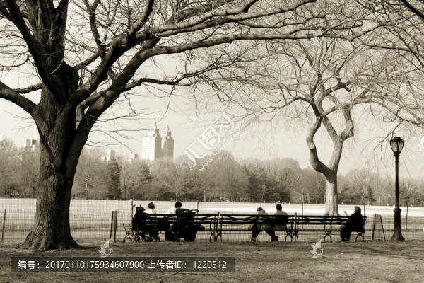 中央公園