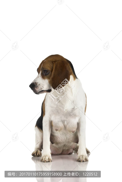 小媽媽