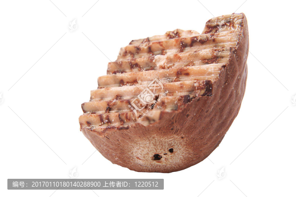 肉豆蔻